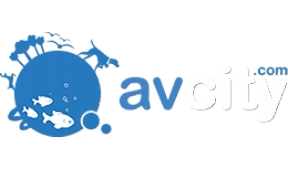 AvCity